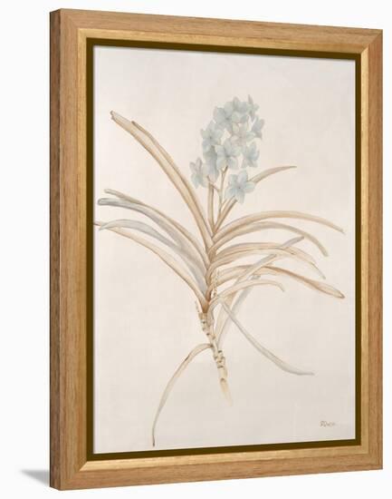 Botanicals Series Blue II-Rikki Drotar-Framed Premier Image Canvas
