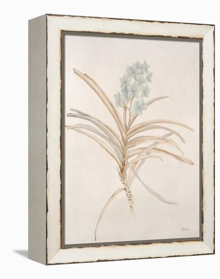 Botanicals Series Blue II-Rikki Drotar-Framed Premier Image Canvas