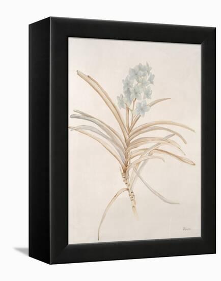 Botanicals Series Blue II-Rikki Drotar-Framed Premier Image Canvas