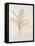 Botanicals Series Blue II-Rikki Drotar-Framed Premier Image Canvas