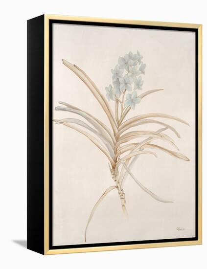 Botanicals Series Blue II-Rikki Drotar-Framed Premier Image Canvas