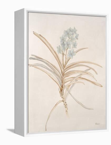 Botanicals Series Blue II-Rikki Drotar-Framed Premier Image Canvas