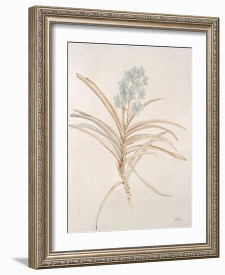 Botanicals Series Blue II-Rikki Drotar-Framed Giclee Print