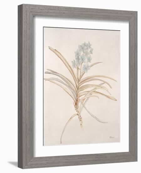 Botanicals Series Blue II-Rikki Drotar-Framed Giclee Print