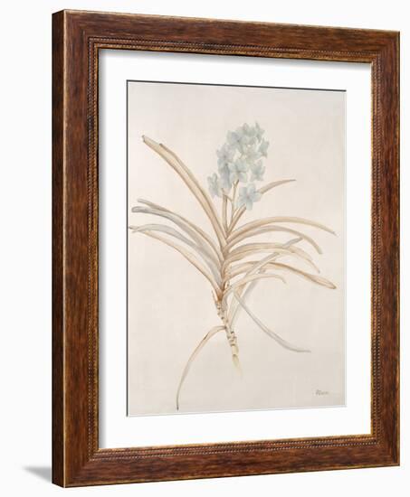 Botanicals Series Blue II-Rikki Drotar-Framed Giclee Print