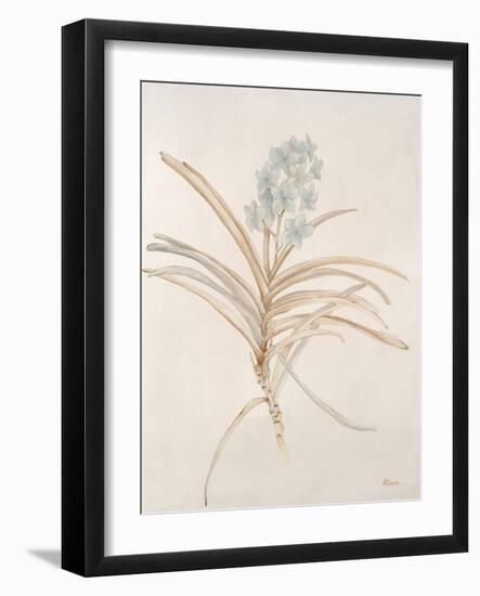 Botanicals Series Blue II-Rikki Drotar-Framed Giclee Print