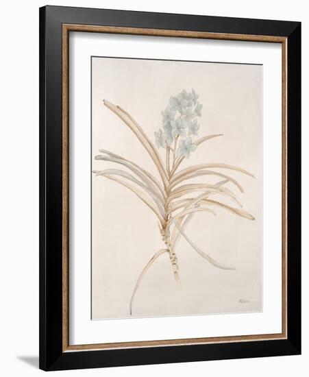 Botanicals Series Blue II-Rikki Drotar-Framed Giclee Print