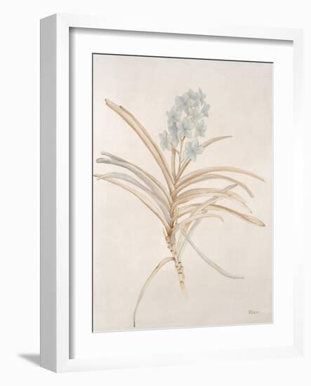 Botanicals Series Blue II-Rikki Drotar-Framed Giclee Print