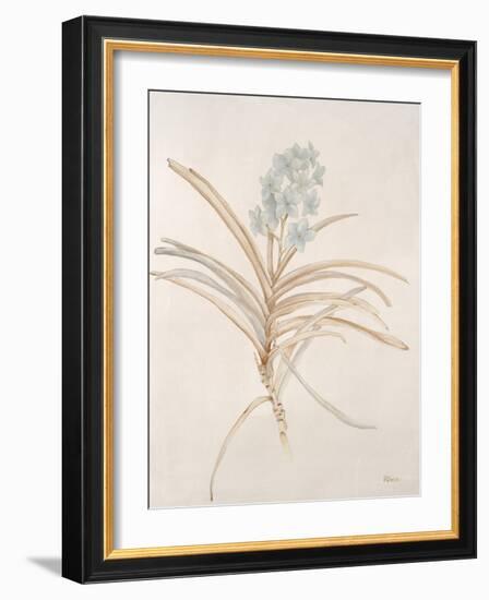 Botanicals Series Blue II-Rikki Drotar-Framed Giclee Print