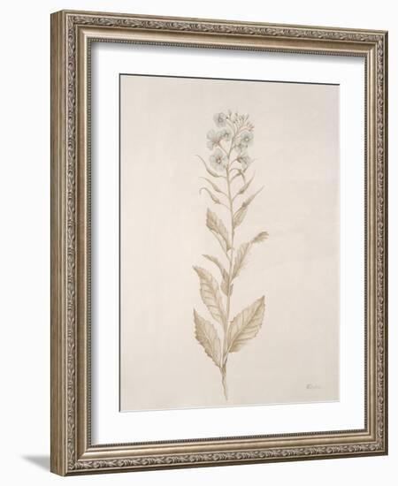 Botanicals Series Blue III-Rikki Drotar-Framed Giclee Print