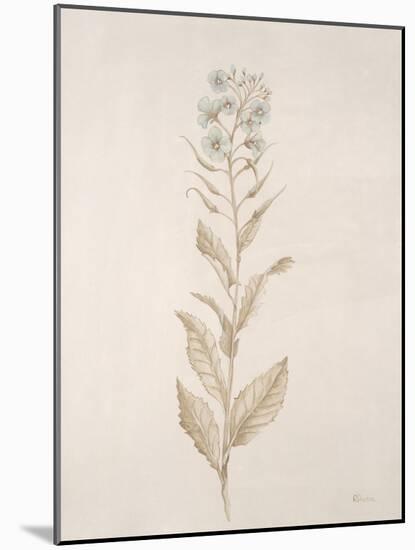 Botanicals Series Blue III-Rikki Drotar-Mounted Giclee Print