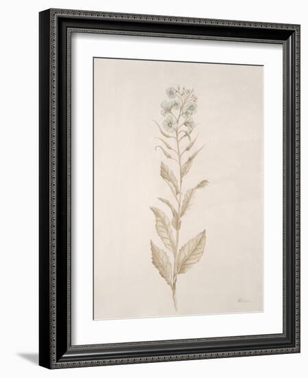 Botanicals Series Blue III-Rikki Drotar-Framed Giclee Print