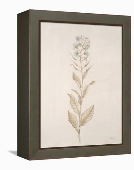 Botanicals Series Blue III-Rikki Drotar-Framed Premier Image Canvas