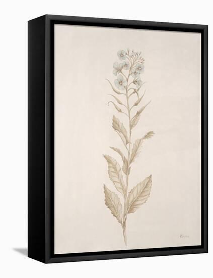 Botanicals Series Blue III-Rikki Drotar-Framed Premier Image Canvas