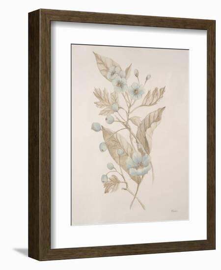 Botanicals Series Blue IV-Rikki Drotar-Framed Giclee Print