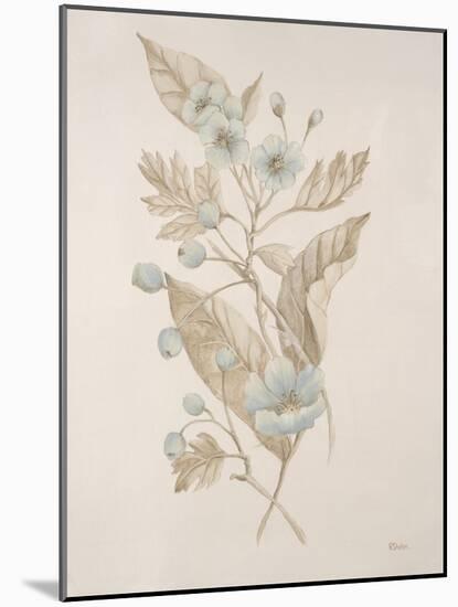 Botanicals Series Blue IV-Rikki Drotar-Mounted Giclee Print