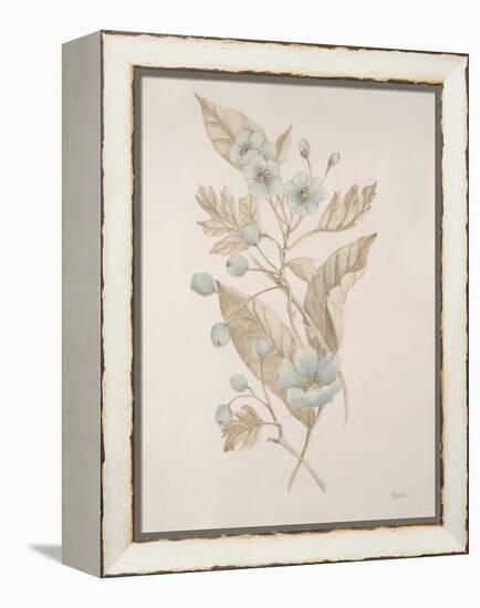 Botanicals Series Blue IV-Rikki Drotar-Framed Premier Image Canvas