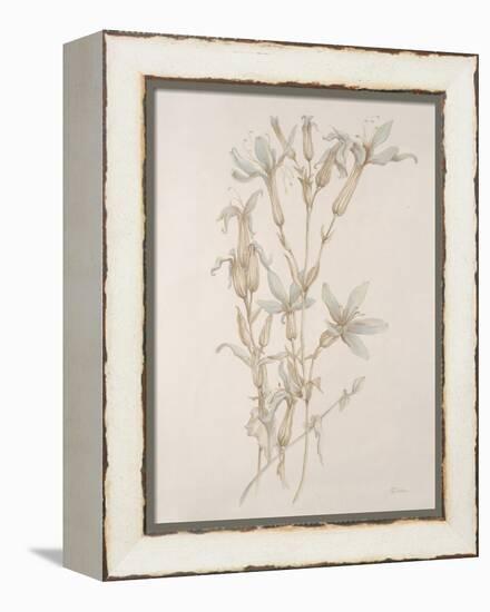 Botanicals Series Blue V-Rikki Drotar-Framed Premier Image Canvas