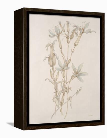 Botanicals Series Blue V-Rikki Drotar-Framed Premier Image Canvas