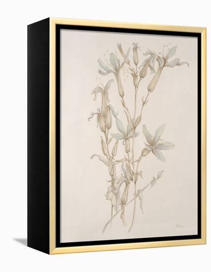Botanicals Series Blue V-Rikki Drotar-Framed Premier Image Canvas