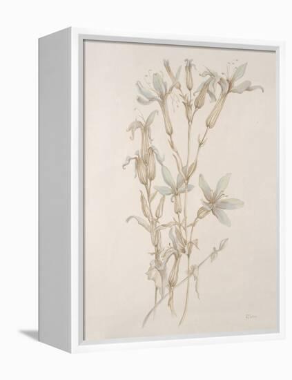 Botanicals Series Blue V-Rikki Drotar-Framed Premier Image Canvas