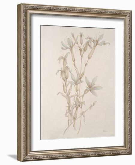 Botanicals Series Blue V-Rikki Drotar-Framed Giclee Print