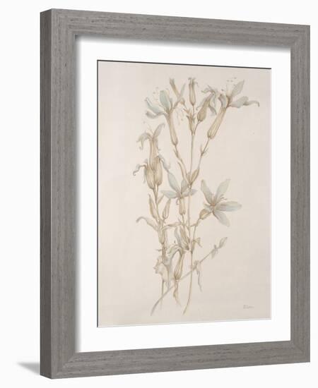 Botanicals Series Blue V-Rikki Drotar-Framed Giclee Print