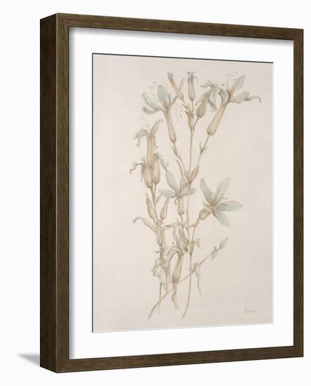 Botanicals Series Blue V-Rikki Drotar-Framed Giclee Print