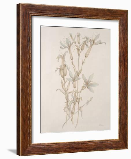 Botanicals Series Blue V-Rikki Drotar-Framed Giclee Print