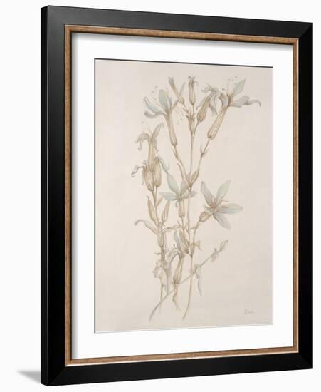 Botanicals Series Blue V-Rikki Drotar-Framed Giclee Print