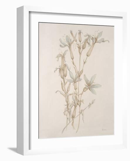 Botanicals Series Blue V-Rikki Drotar-Framed Giclee Print