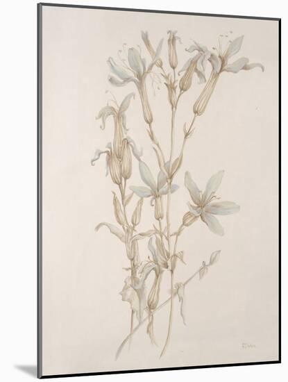 Botanicals Series Blue V-Rikki Drotar-Mounted Giclee Print