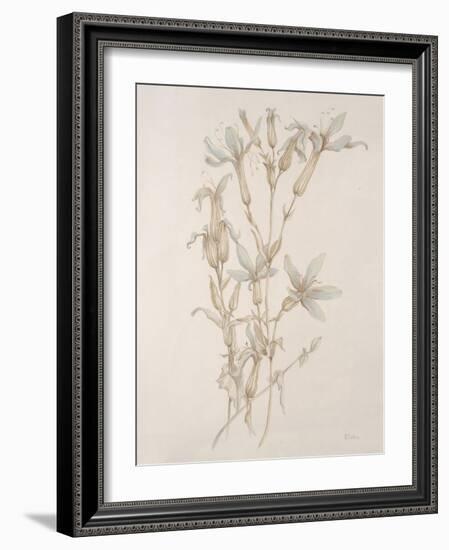 Botanicals Series Blue V-Rikki Drotar-Framed Giclee Print