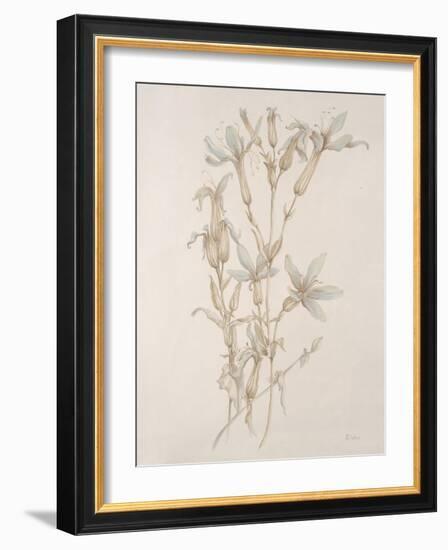 Botanicals Series Blue V-Rikki Drotar-Framed Giclee Print