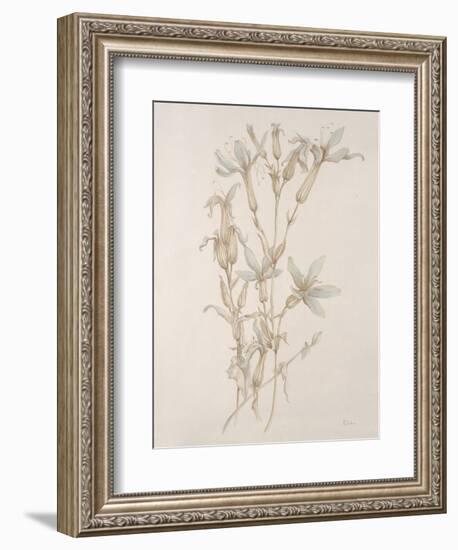 Botanicals Series Blue V-Rikki Drotar-Framed Giclee Print