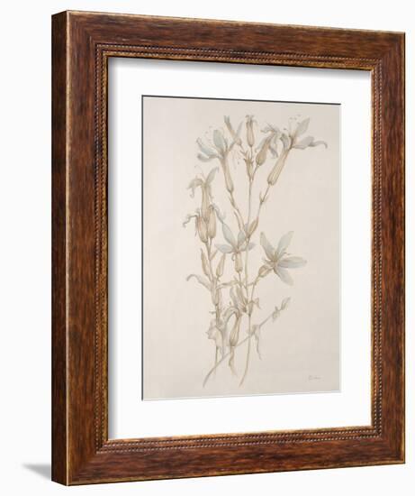 Botanicals Series Blue V-Rikki Drotar-Framed Giclee Print