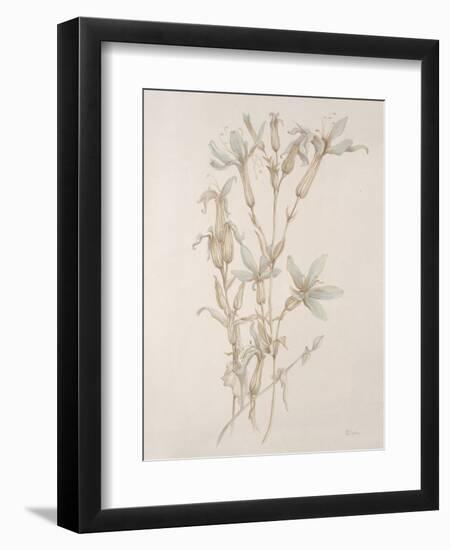 Botanicals Series Blue V-Rikki Drotar-Framed Giclee Print