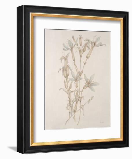 Botanicals Series Blue V-Rikki Drotar-Framed Giclee Print