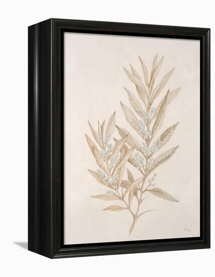 Botanicals Series Blue VI-Rikki Drotar-Framed Premier Image Canvas