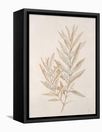 Botanicals Series Blue VI-Rikki Drotar-Framed Premier Image Canvas