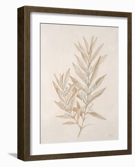 Botanicals Series Blue VI-Rikki Drotar-Framed Giclee Print