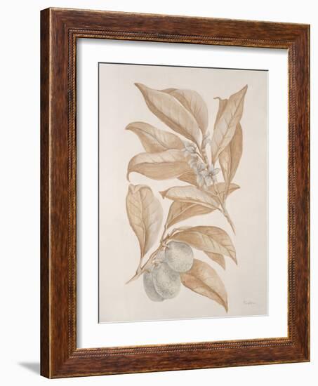 Botanicals Series Blue VII-Rikki Drotar-Framed Giclee Print