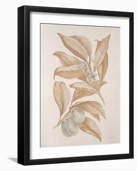 Botanicals Series Blue VII-Rikki Drotar-Framed Giclee Print