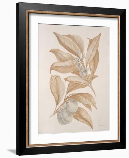 Botanicals Series Blue VII-Rikki Drotar-Framed Giclee Print