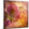 Botanicals Still Life with Flowers-Trigger Image-Mounted Photographic Print