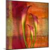 Botanicals Still Life with Lillies-Trigger Image-Mounted Photographic Print