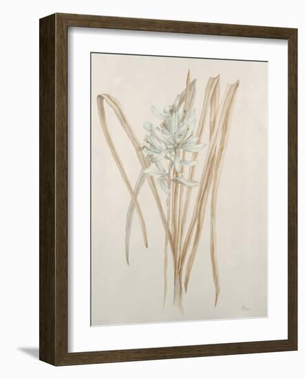 Botanicals V-Rikki Drotar-Framed Giclee Print