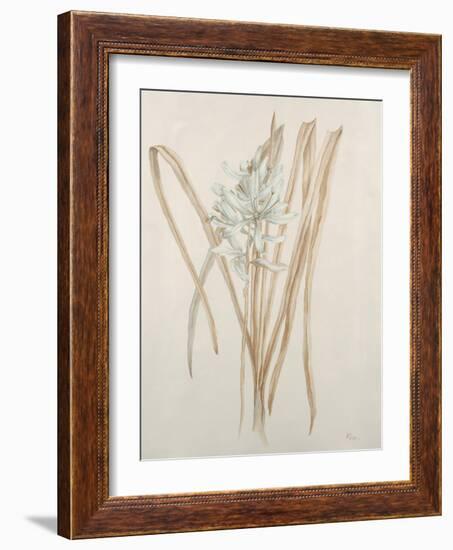 Botanicals V-Rikki Drotar-Framed Giclee Print