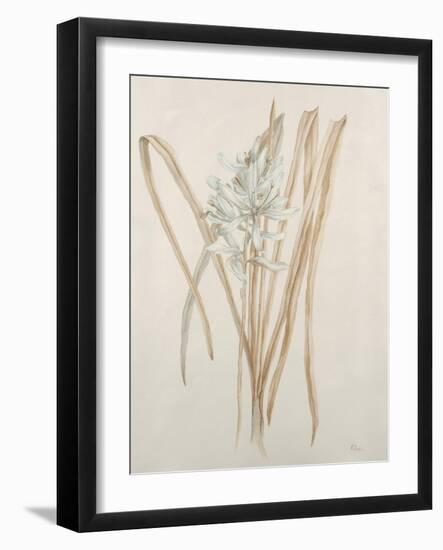 Botanicals V-Rikki Drotar-Framed Giclee Print