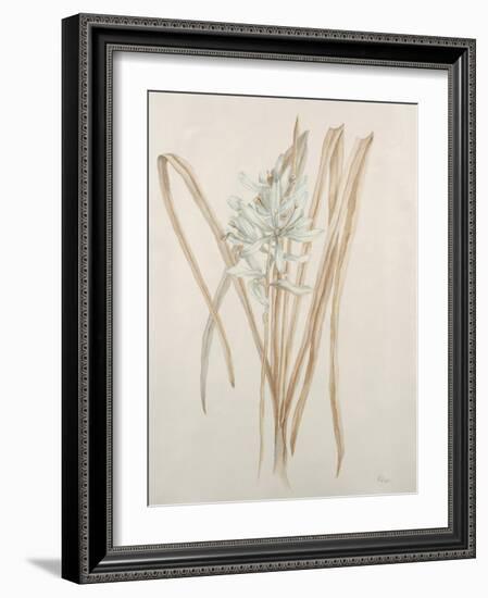 Botanicals V-Rikki Drotar-Framed Giclee Print